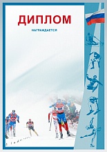 Купить Диплом Д-13
